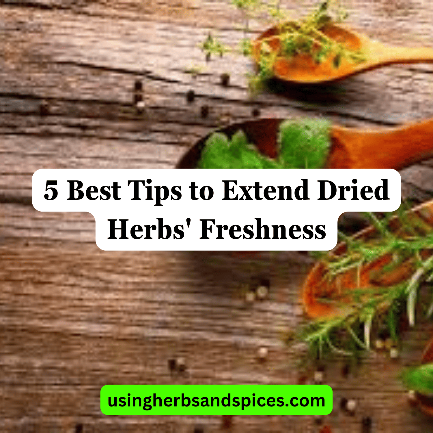 5 Best Tips to Extend Dried Herbs' Freshness