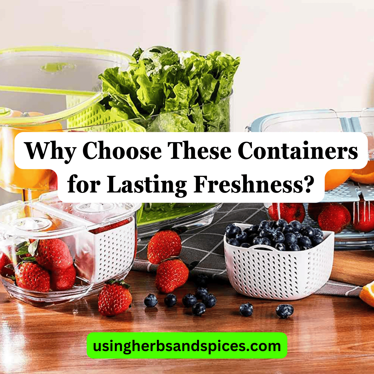 Why Choose These Containers for Lasting Freshness? Using Herbs & Spices