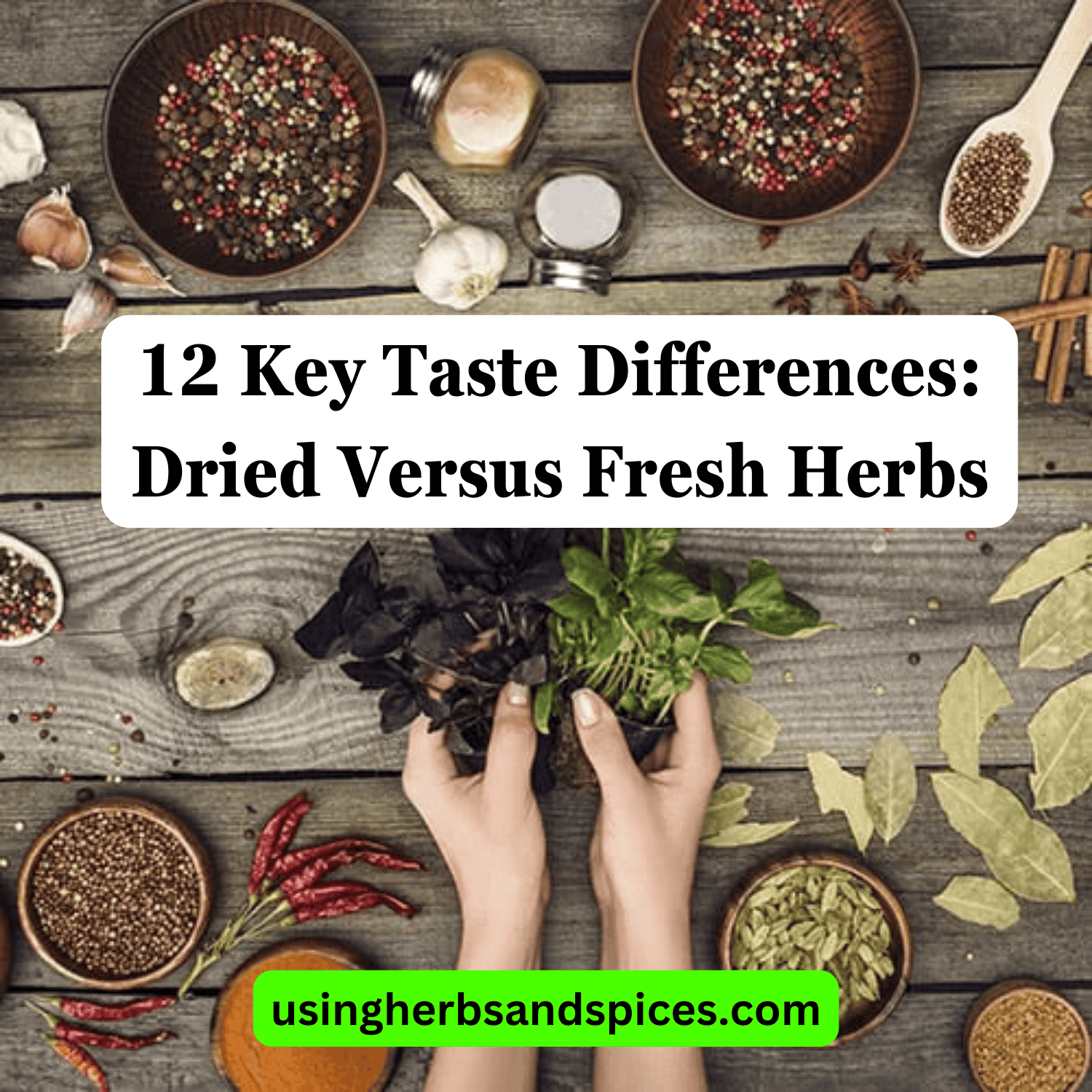 12 Key Taste Differences Dried Versus Fresh Herbs Using Herbs & Spices