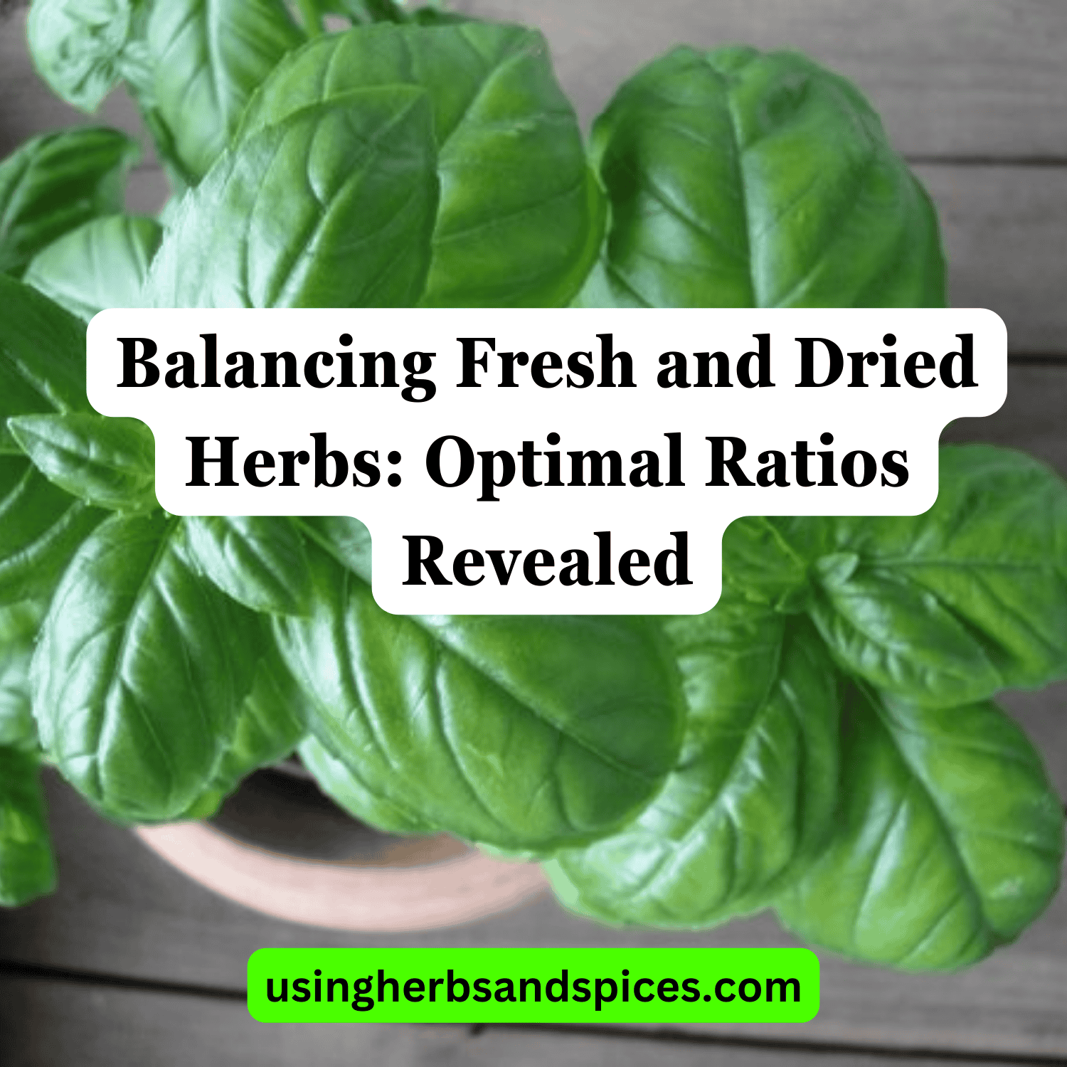 Balancing Fresh and Dried Herbs Optimal Ratios Revealed Using Herbs