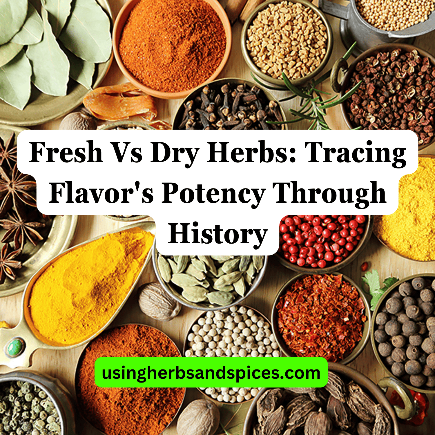 Fresh Vs Dry Herbs: Tracing Flavor's Potency Through History - Using ...