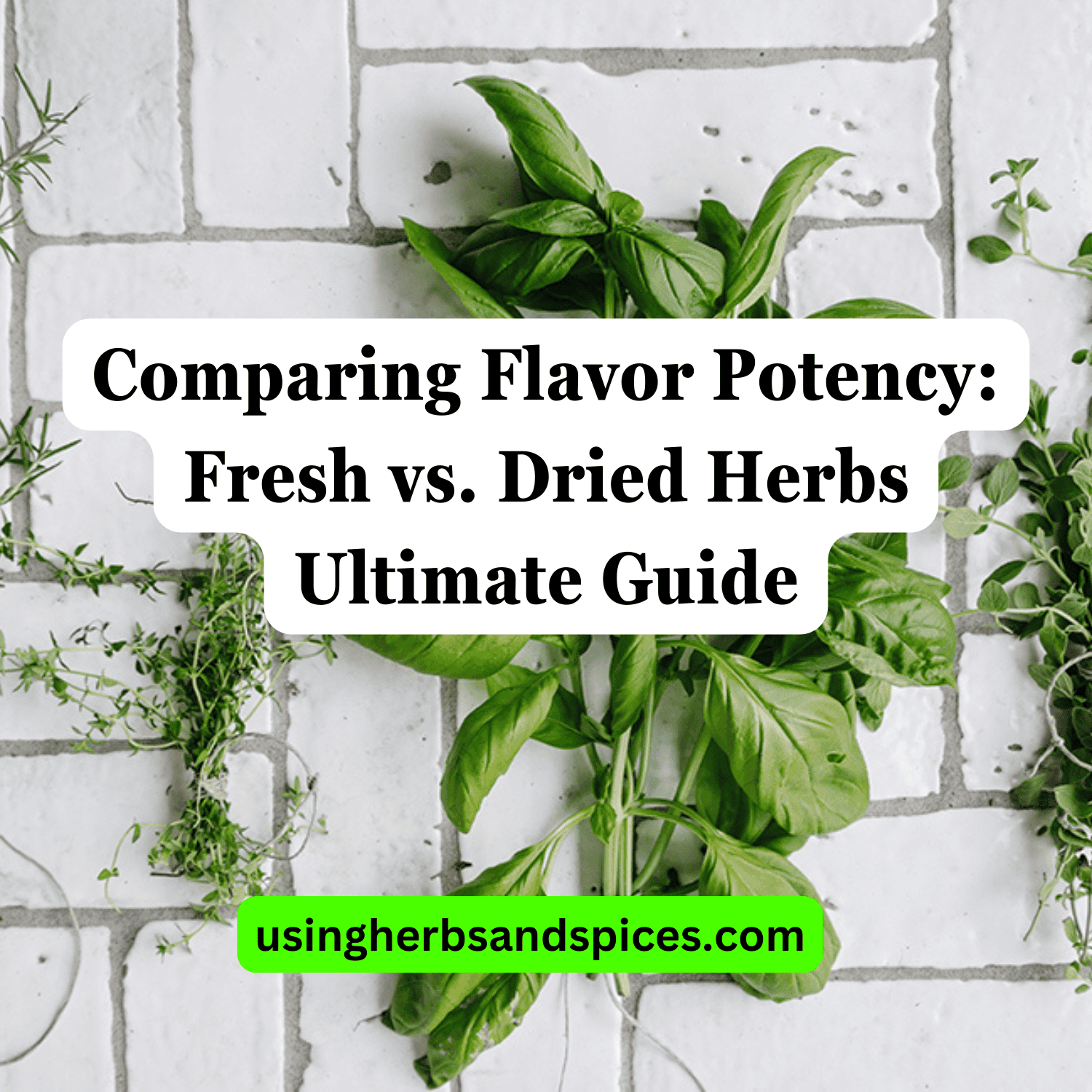 Comparing Flavor Potency: Fresh vs. Dried Herbs Ultimate Guide - Using ...