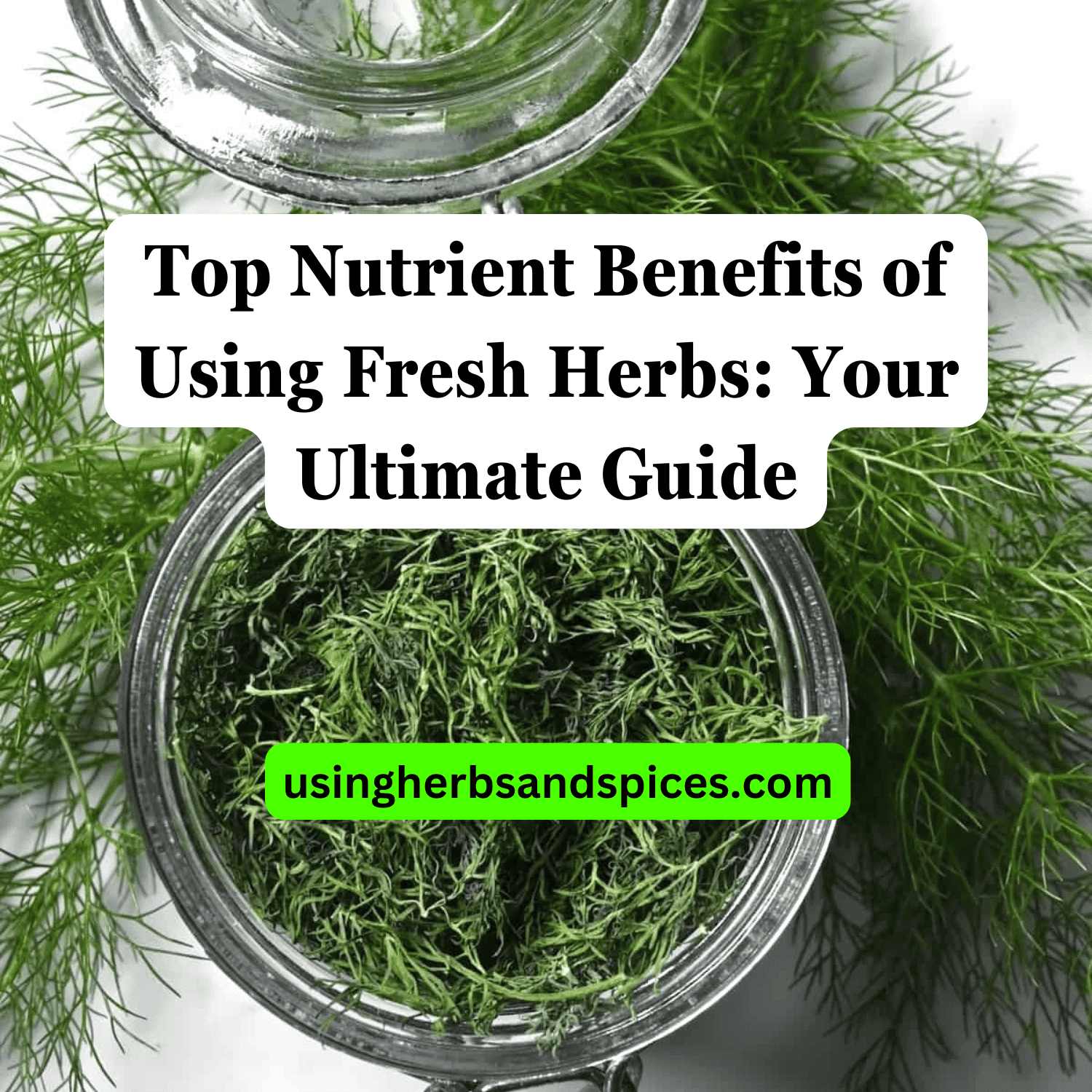 Top Nutrient Benefits of Using Fresh Herbs Your Ultimate Guide Using