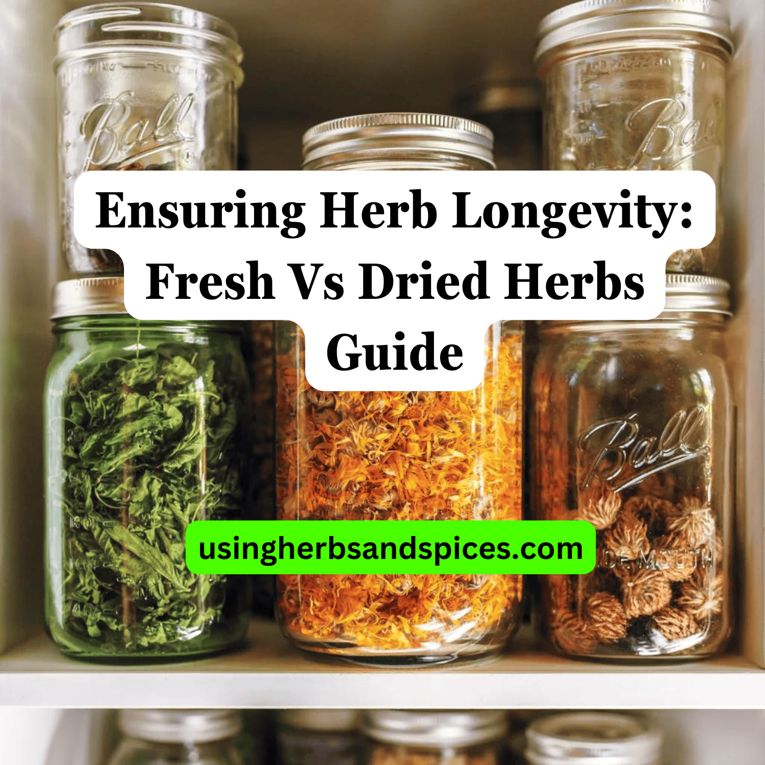 Ensuring Herb Longevity: Fresh Vs Dried Herbs Guide - Using Herbs & Spices